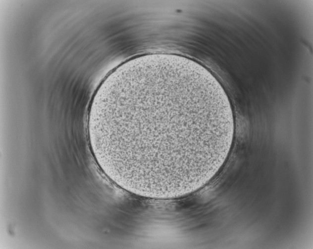 X0000103910856200810171704