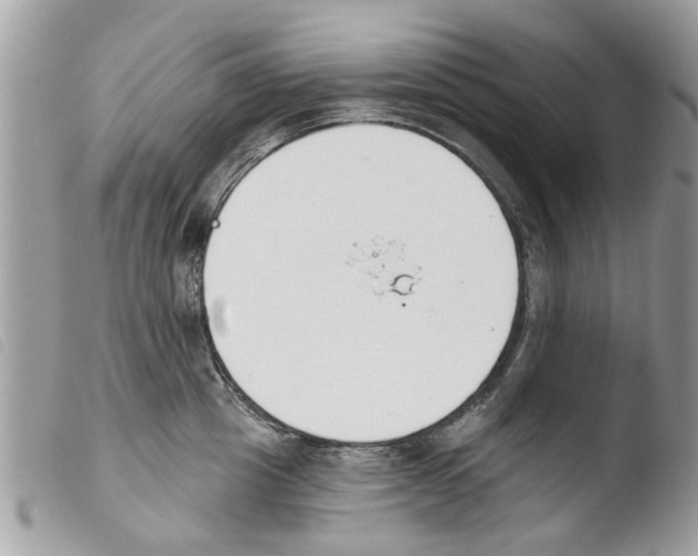 X0000103910857200810171704