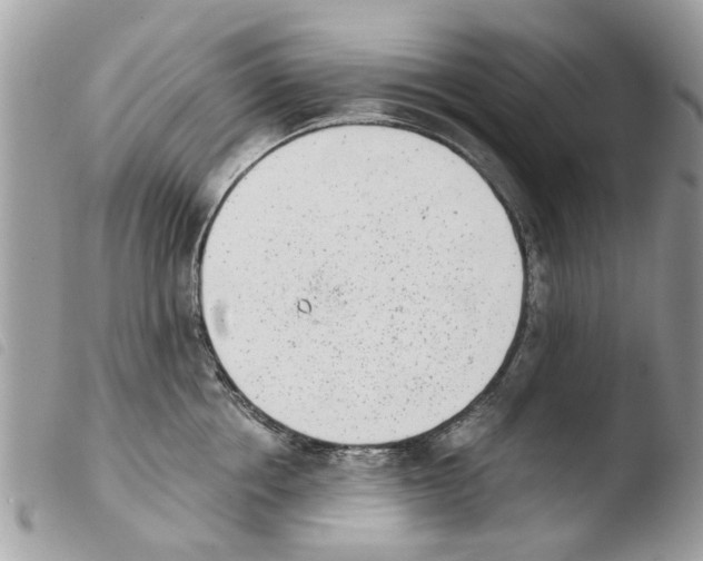 X0000103910858200810171704