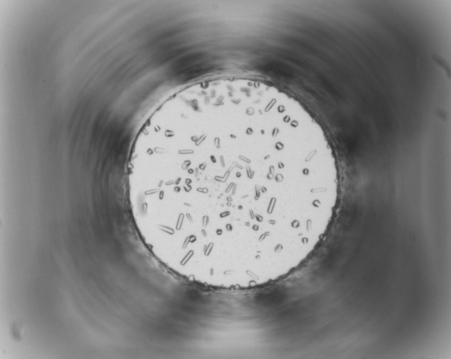 X0000103910860200810171704