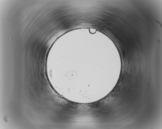 X0000103910861200810171704