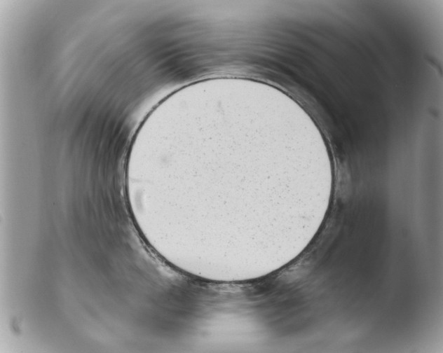 X0000103910862200810171704