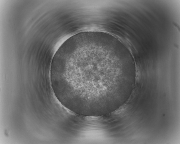 X0000103910863200810171704