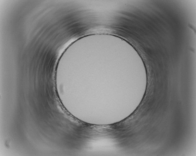 X0000103910864200810171704