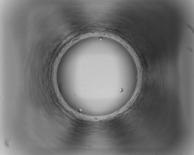 X0000103910865200810171703