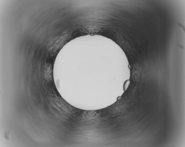 X0000103910866200810171703