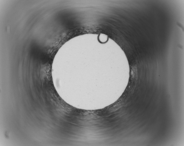 X0000103910867200810171703
