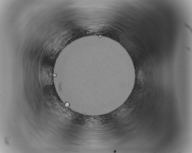 X0000103910868200810171703