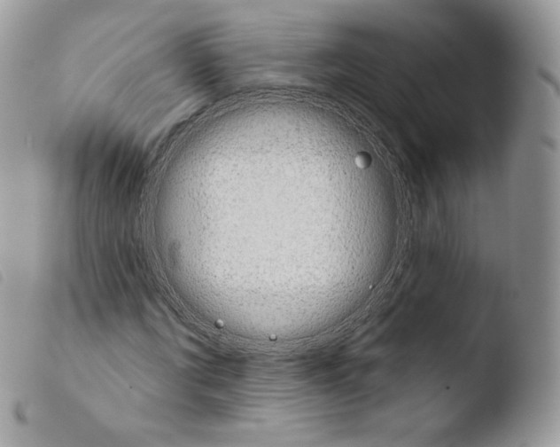 X0000103910869200810171703