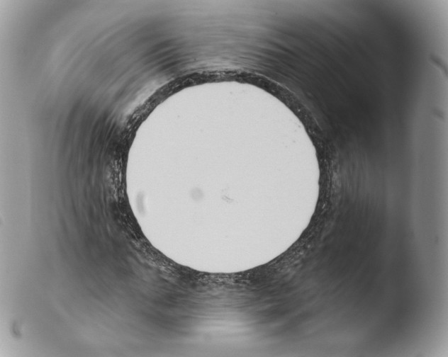 X0000103910871200810171703