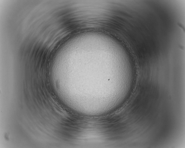 X0000103910873200810171703