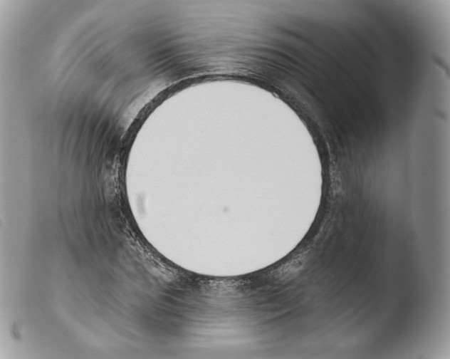 X0000103910875200810171703