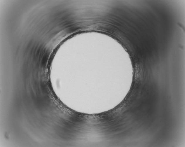X0000103910876200810171703