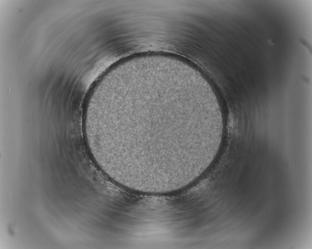 X0000103910877200810171703