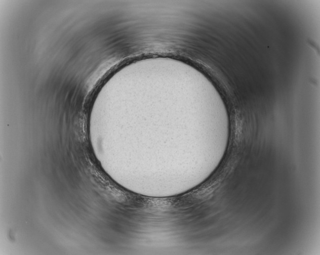 X0000103910878200810171703