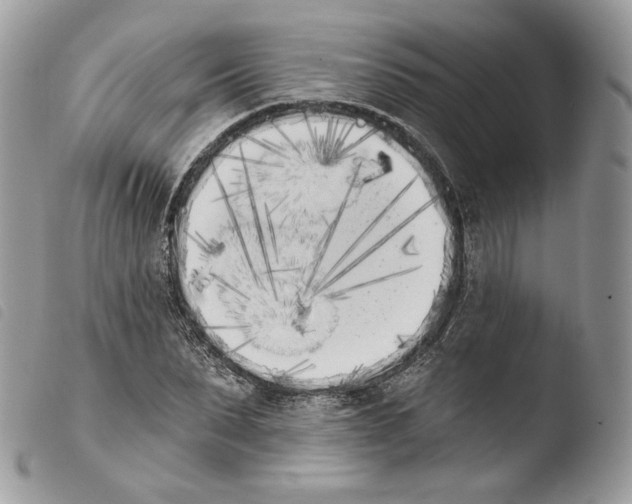 X0000103910879200810171703