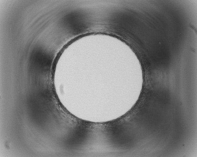 X0000103910880200810171703
