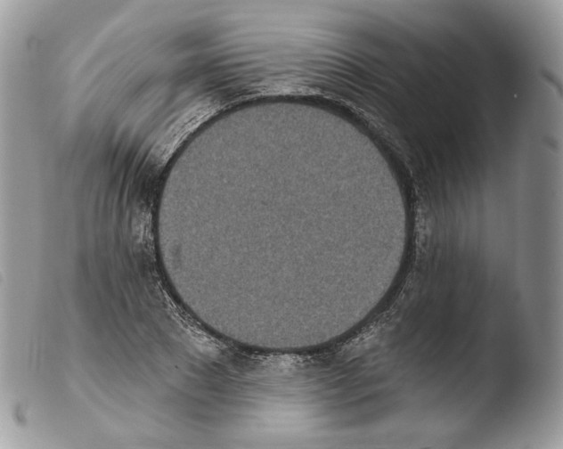 X0000103910881200810171703
