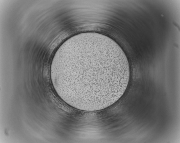 X0000103910882200810171703