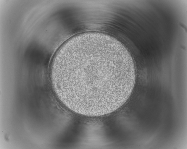 X0000103910884200810171703