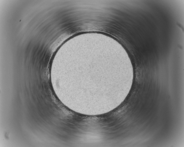 X0000103910885200810171703