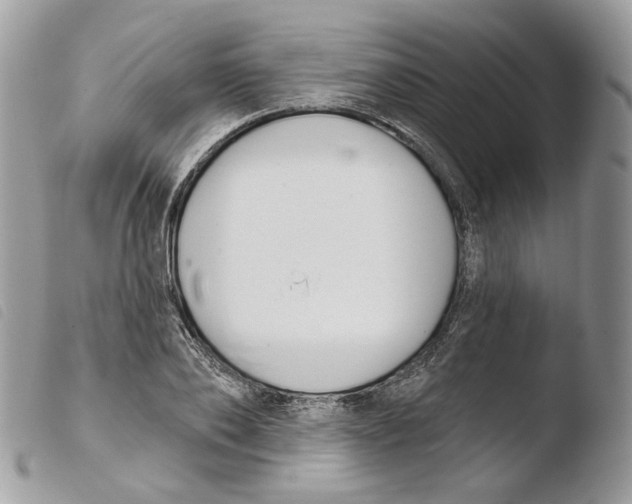 X0000103910886200810171703