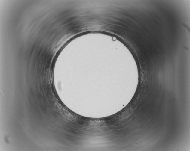 X0000103910887200810171703