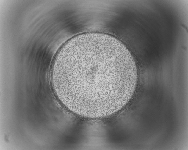 X0000103910888200810171703