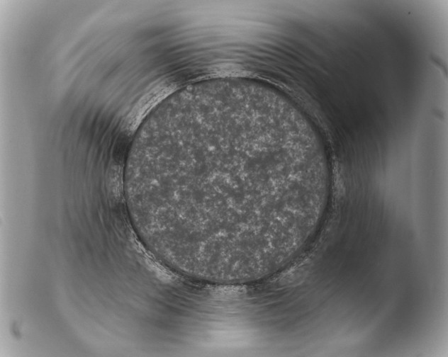 X0000103910889200810171703