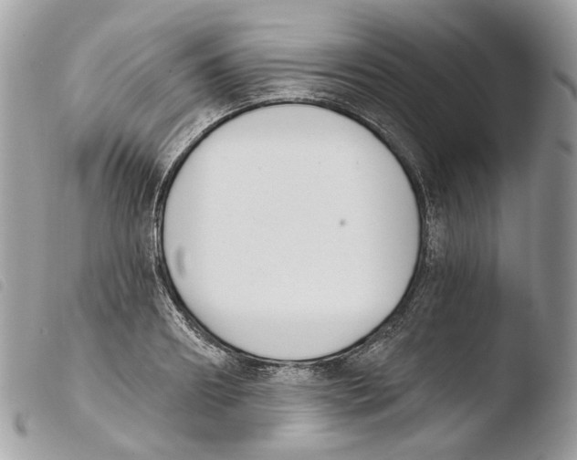 X0000103910890200810171703