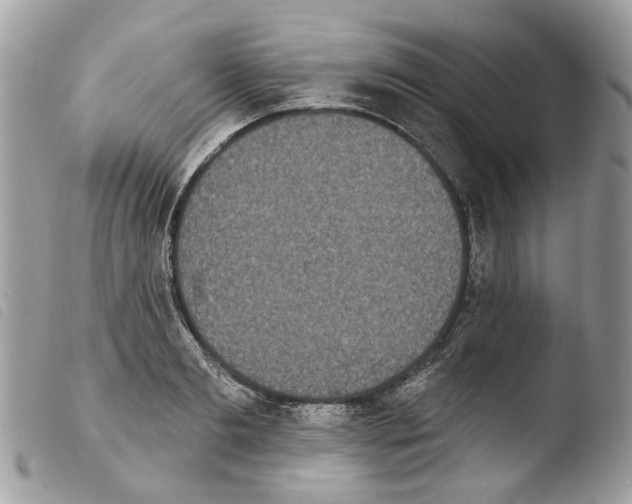 X0000103910893200810171703