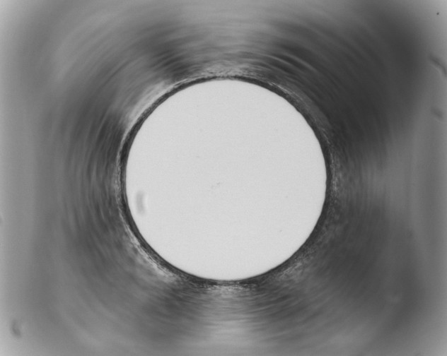 X0000103910894200810171703