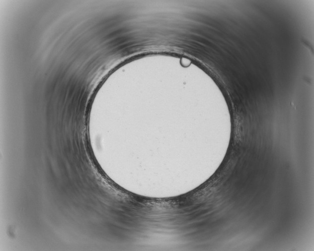 X0000103910895200810171703