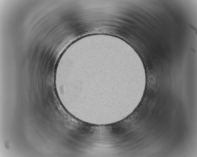 X0000103910896200810171703