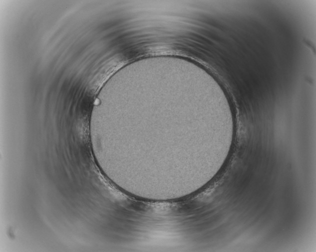X0000103910897200810171703