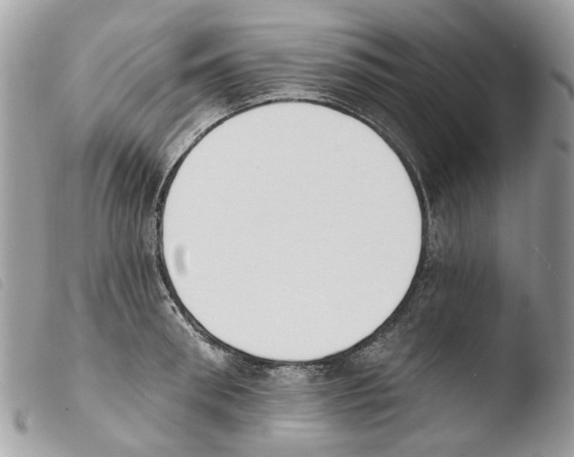 X0000103910898200810171703