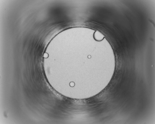 X0000103910901200810171703