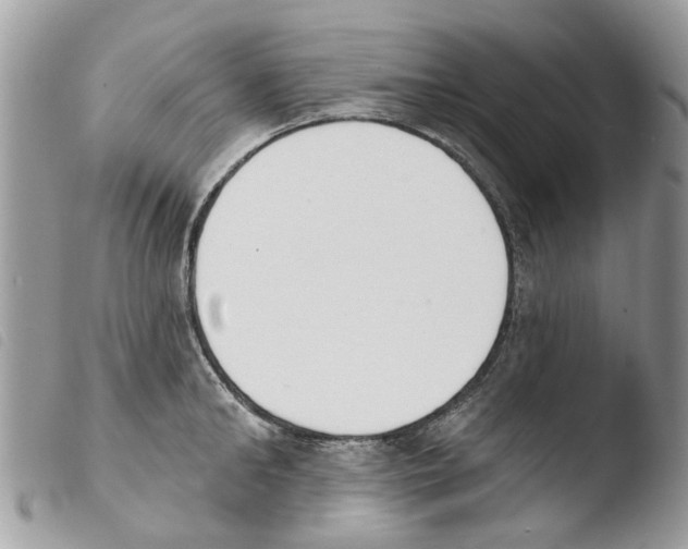 X0000103910902200810171702