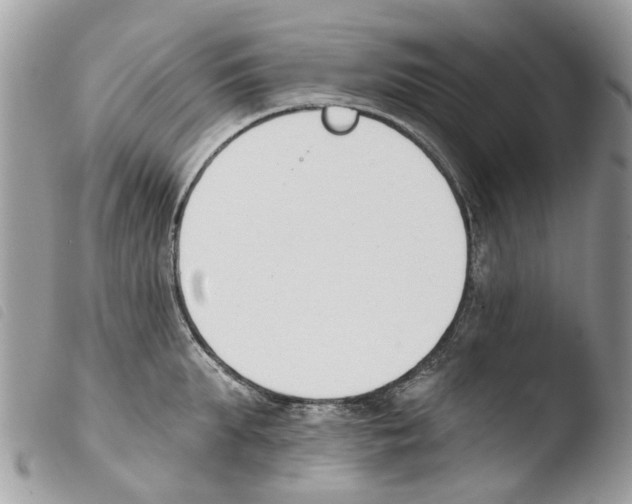 X0000103910903200810171702