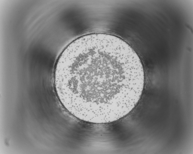 X0000103910904200810171702