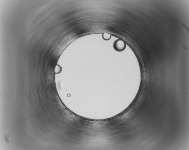 X0000103910905200810171702
