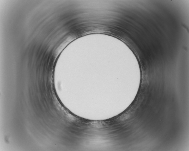 X0000103910906200810171702