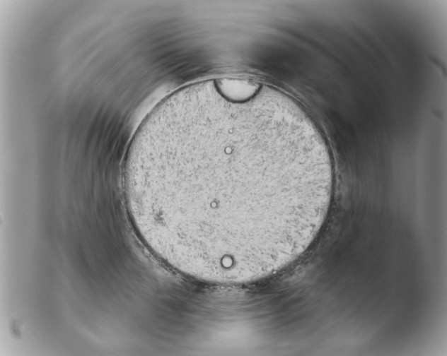 X0000103910907200810171702
