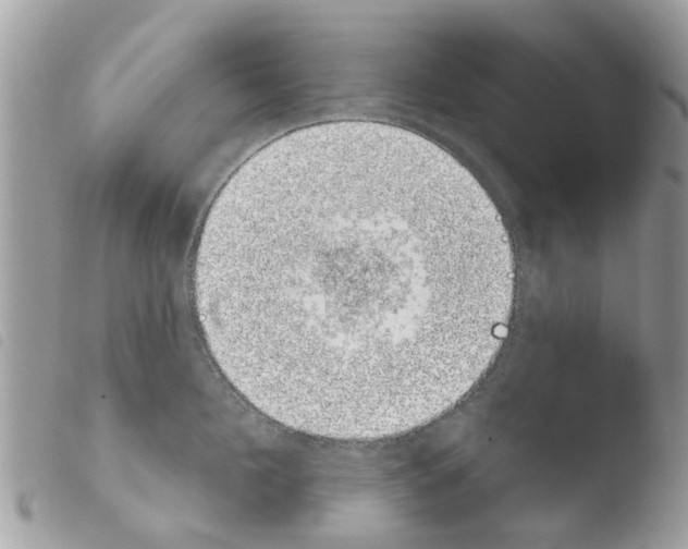 X0000103910908200810171702