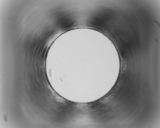 X0000103910909200810171702