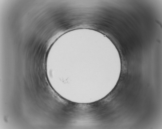 X0000103910910200810171702