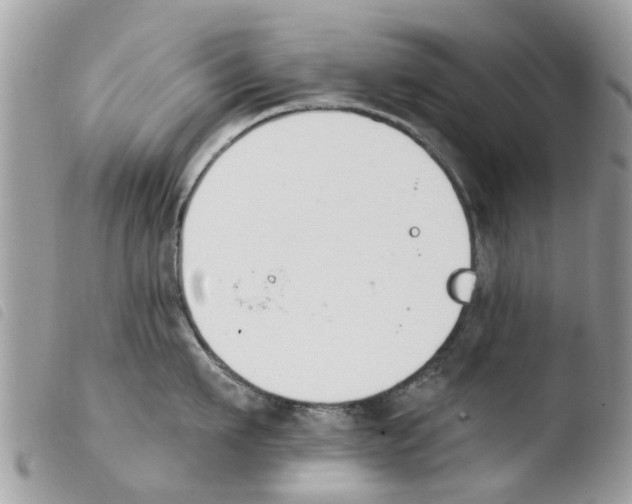 X0000103910911200810171702