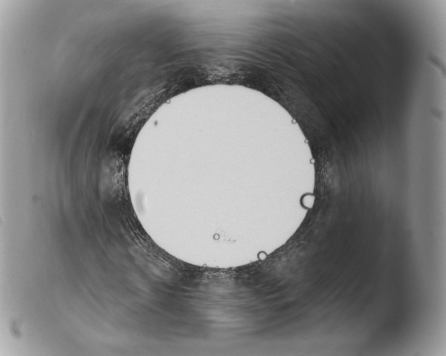X0000103910914200810171702