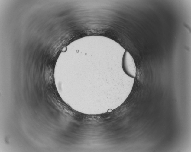 X0000103910915200810171702