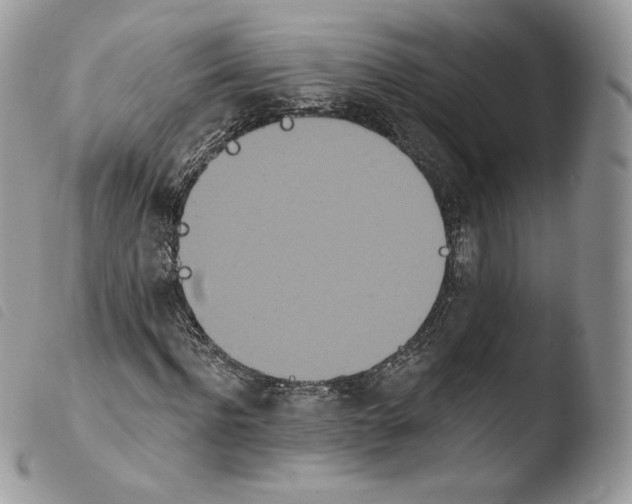 X0000103910916200810171702